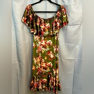 LuLaRoe Floral Velvet Dress